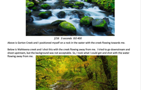 Excerpt from ebook Art and Joy of Photographing Water
