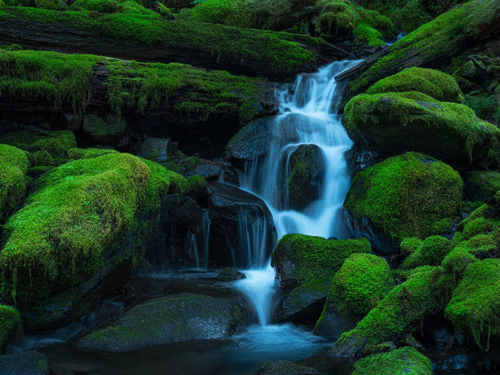 small creek flowing through moss covered rocks in olympic national park washington