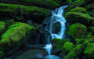 small creek flowing through moss covered rocks in olympic national park washington