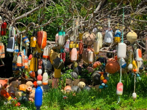 fishing buoys hanging from tree in front of house