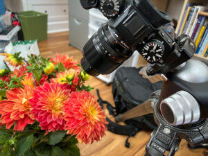 Shooting macro photographs of flowers indoors