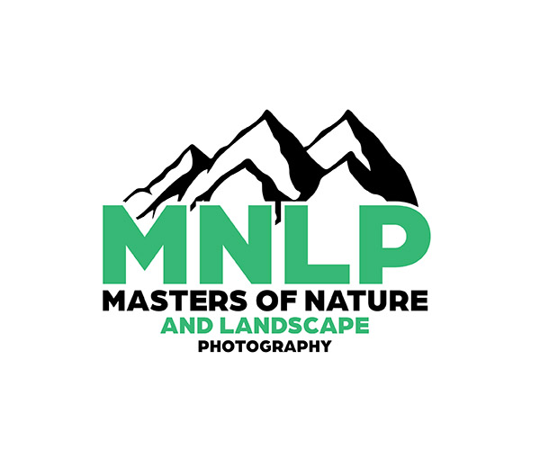 MNLP logo Tucson 2023