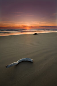 Photograph of driftwood and ocean during sunset along Oregon coast