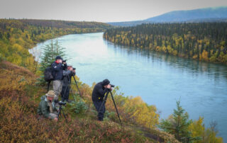 Workshop group photographing landscape and fall color in alaska