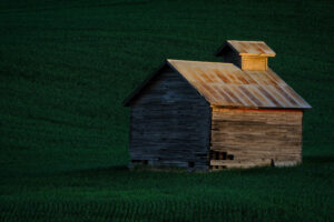 photograph of barn in wheat field in Palouse Washington