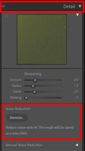 The details panel of Adobe Lightroom showing the new denoise button