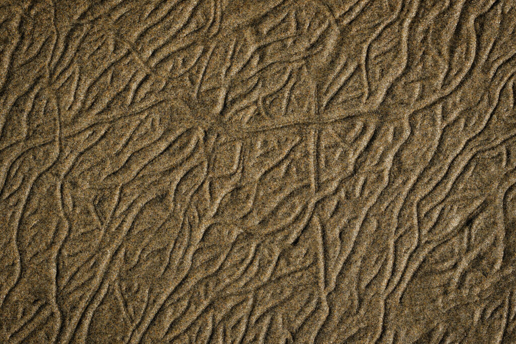 Multiple lines in the sand created by small animals in Oregon