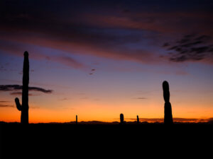 Post sunset in the Sonoran desert near Tucson