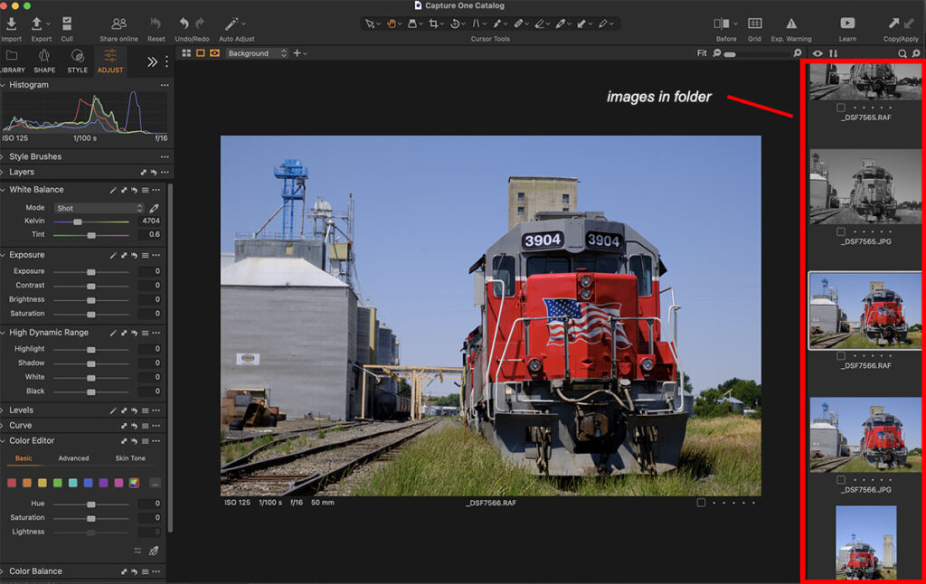 the library model of image editing software capture one