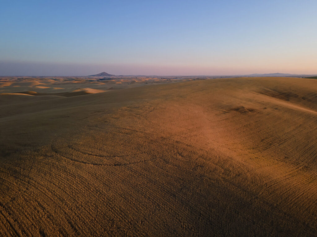 An aerial view of the Palouse wheat fields from a drone at sunset