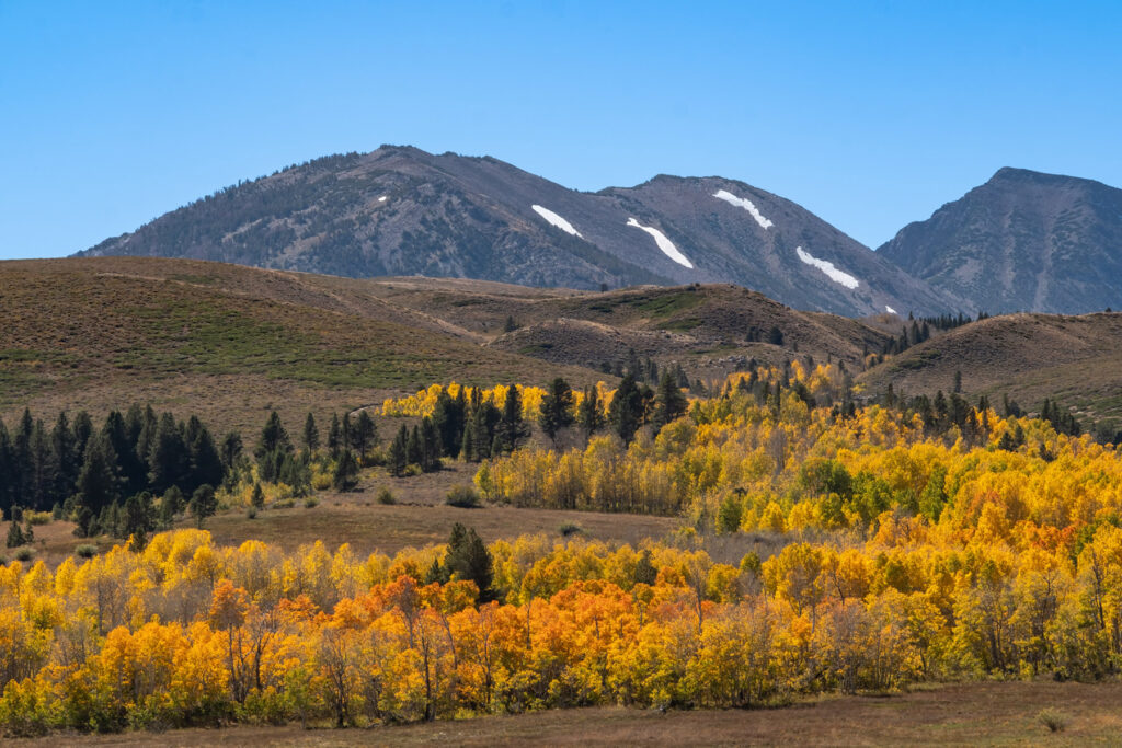 Fall colors blanket the mountains of the eastern sierras of California