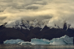 Floating icebergs with snowcapped mountains in the background in Greenland