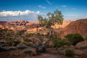 View from the top of Hunts Mesa