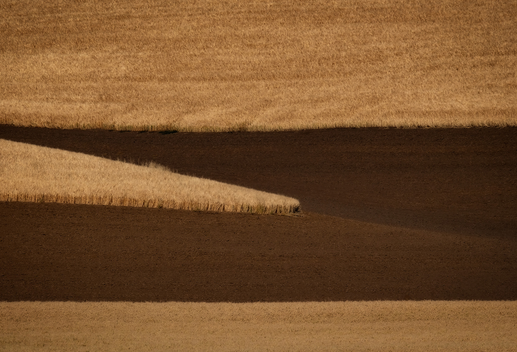 Harvest wheat fields in the Palouse