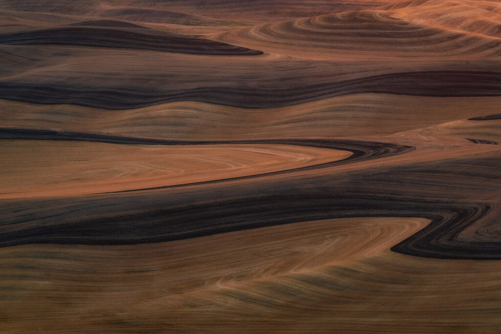 Patterns of wheat fields in the Palouse during harvest