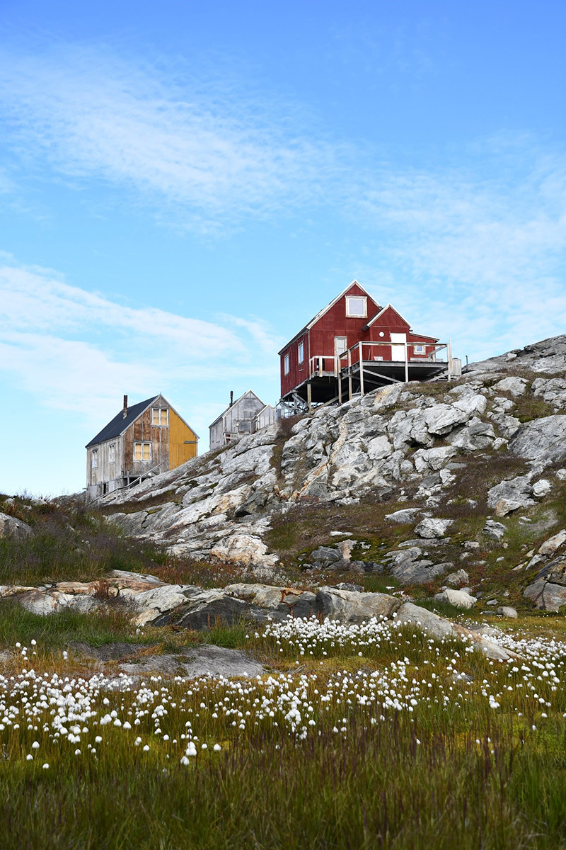 Houses n Flowers