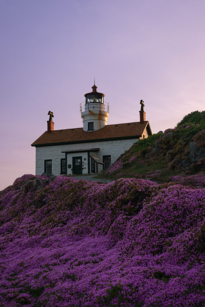 lighthouse in crescent city with pink flowers