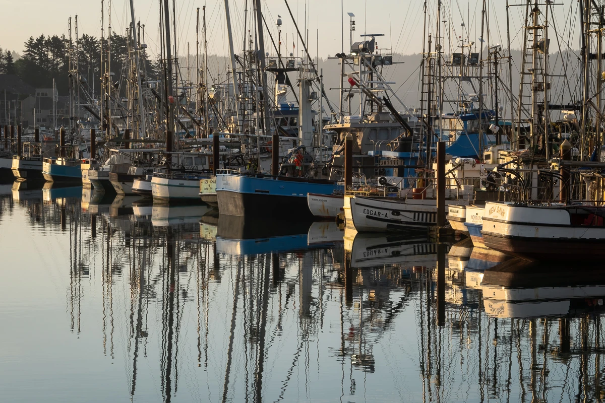 Sunrise Fleet