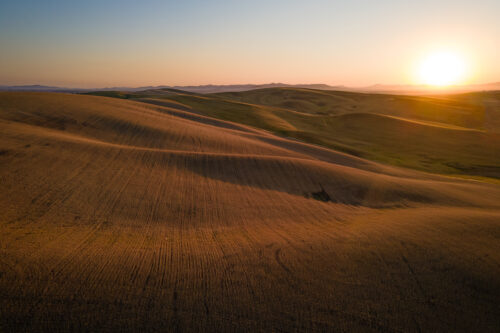 Light and shadows across the wheat
